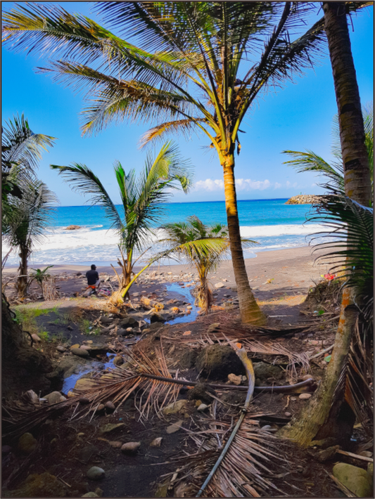 Main image Vue encadrée de la plage par des palmiers