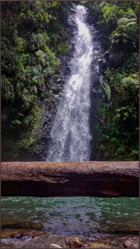 Main image Cascade d'Eau Vive en Forêt Tropicale