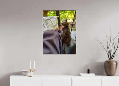 60 x 80 cm, ArtBox bois Aulne brun 4:3 Chaton Calicot Câlin