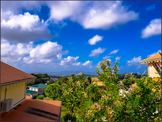 Main image Vue Panoramique sur des Toits de Maisons