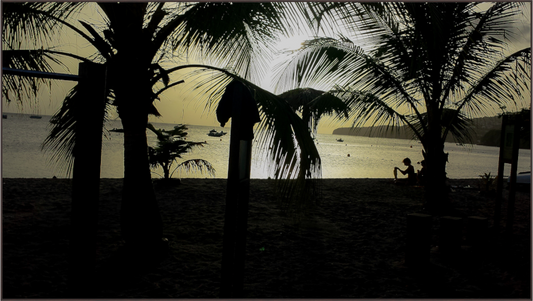Main image Silhouette de Palmiers sur une Plage
