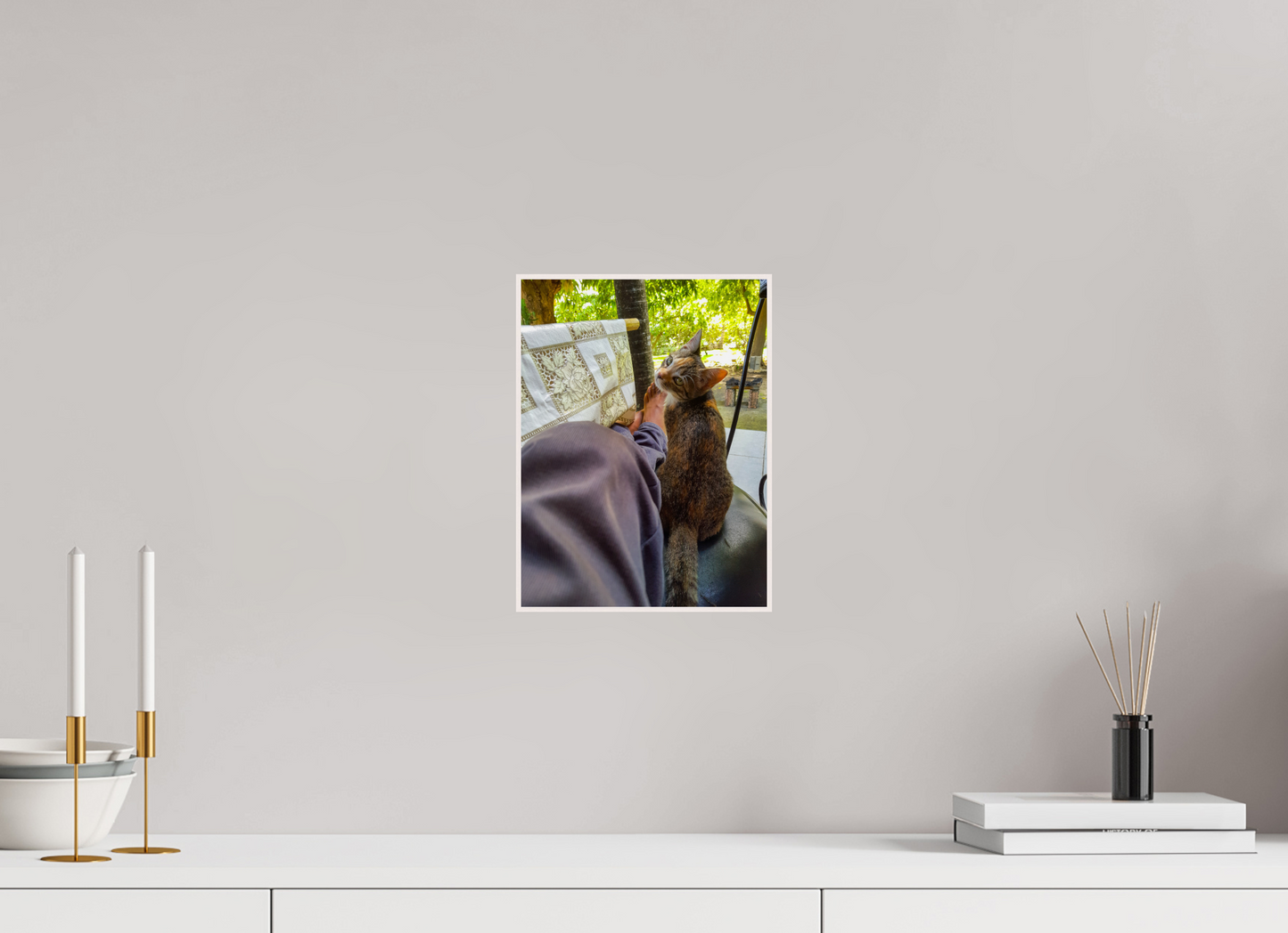 21 x 28 cm, 4. ArtBox bois Erable blanc Chaton Calicot Câlin