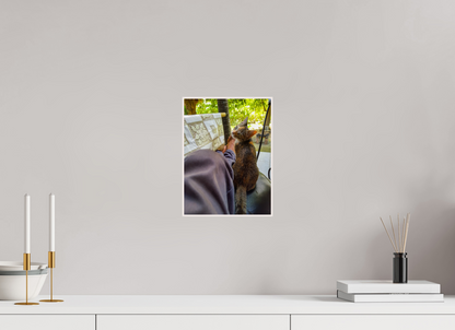 21 x 28 cm, 4. ArtBox bois Erable blanc Chaton Calicot Câlin