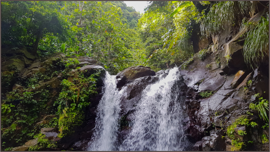 Main image Cascade d'Eau Vive Dévalant les Rochers