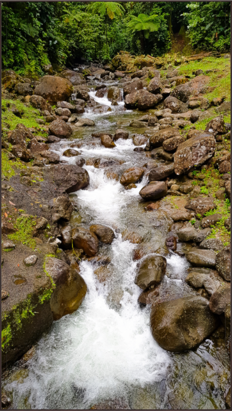 Main image Le Murmure de l'Eau Vive