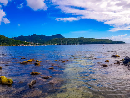 Vue Idyllique des Caraïbes
