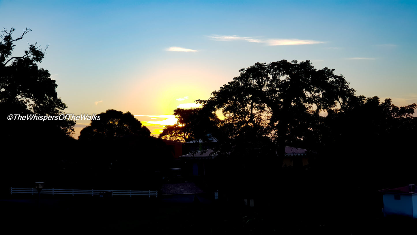 Coucher de soleil flamboyant