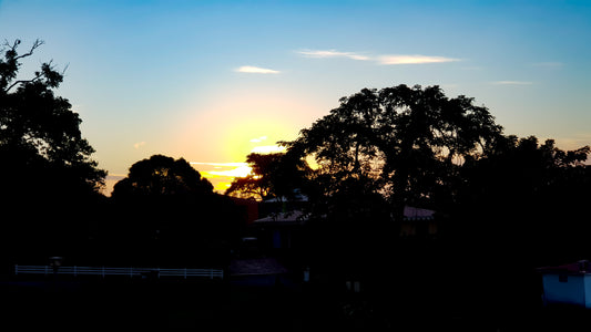 Coucher de soleil flamboyant