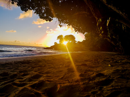 Coucher de Soleil Éclatant