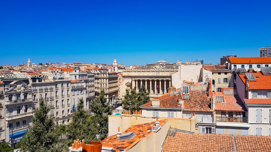 Toits en Tuiles d'une Ville Historique