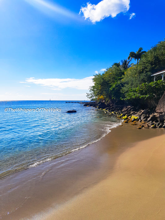 Plage Secrète Tropicale