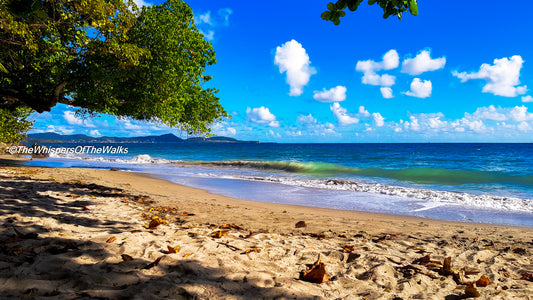 Ombre Rafraîchissante sur la Plage