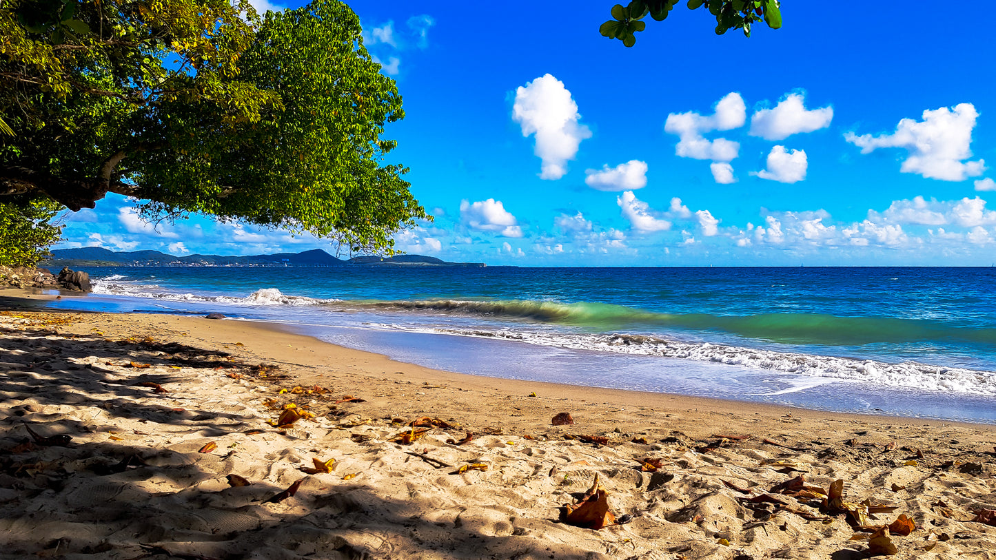Ombre Rafraîchissante sur la Plage