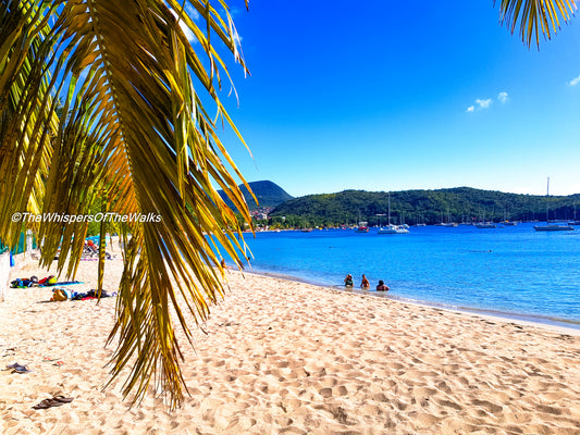 Journée Parfaite à la Plage