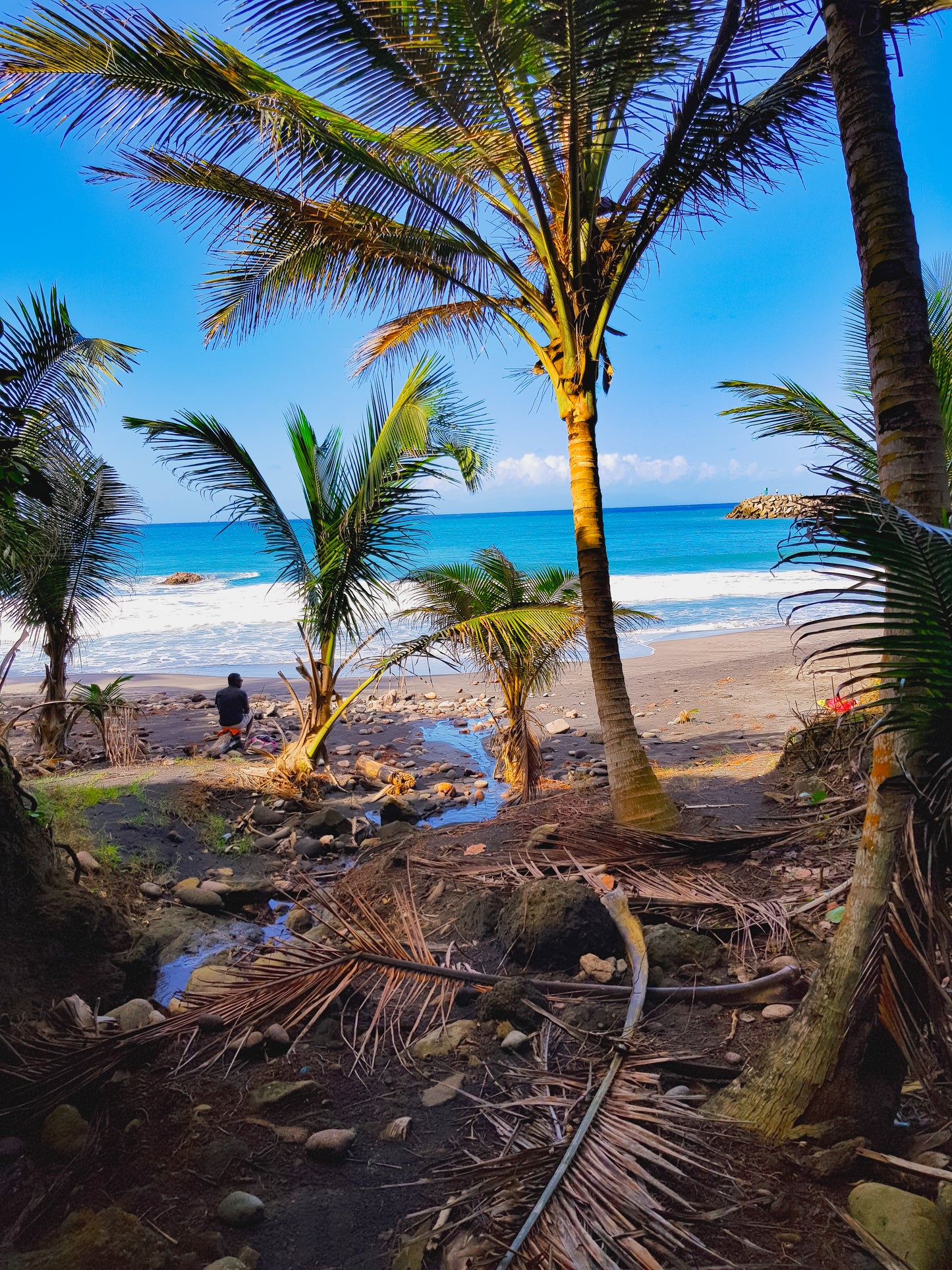 Vue encadrée de la plage par des palmiers