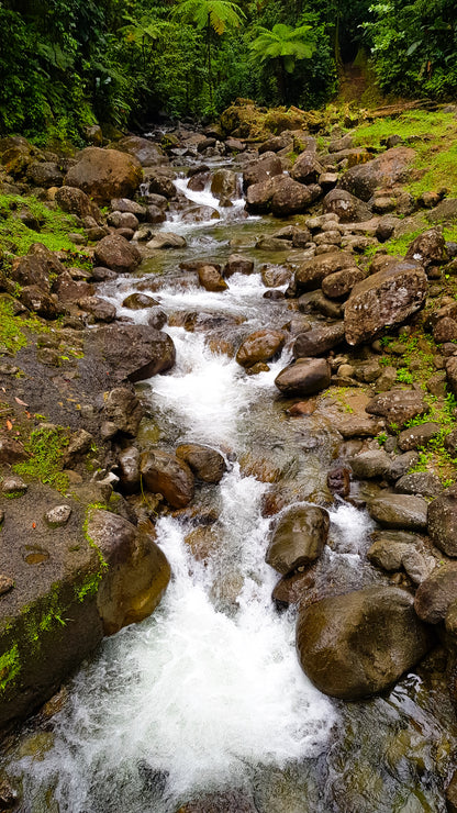 Le Murmure de l'Eau Vive