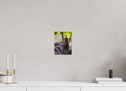 15 x 20 cm, 3. ArtBox bois Erable nature Chaton Calicot Câlin