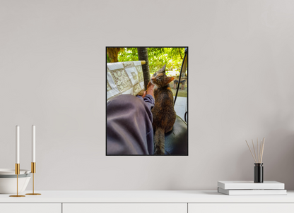 30 x 40 cm, 2. ArtBox bois Chêne noir Chaton Calicot Câlin