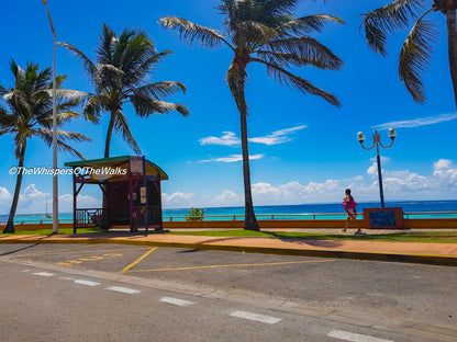 Arrêt de Bus, Palmiers en Bord de Mer