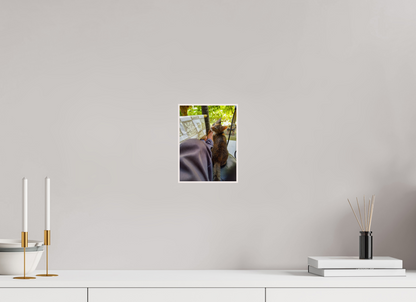 15 x 20 cm, 4. ArtBox bois Erable blanc Chaton Calicot Câlin