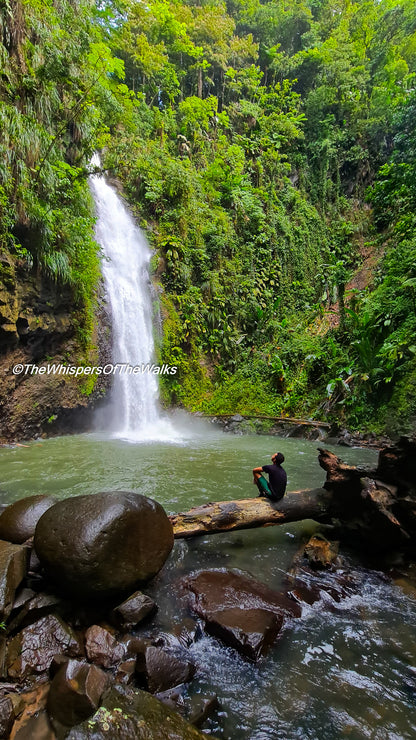 Au Pied de la Cascade