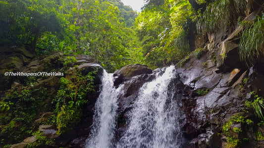 Cascades Tropicales