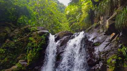 Cascade d'Eau Vive Dévalant les Rochers