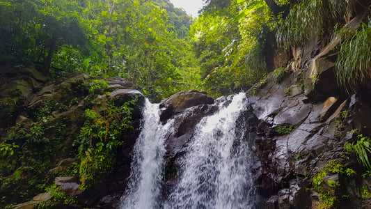 Cascade d'Eau Vive Dévalant les Rochers