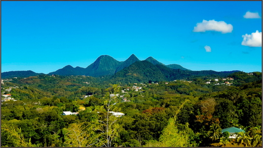 Main image Les Pitons du Carbet à l'Honneur
