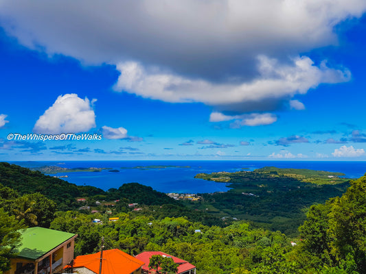 Vue Panoramique sur une Baie