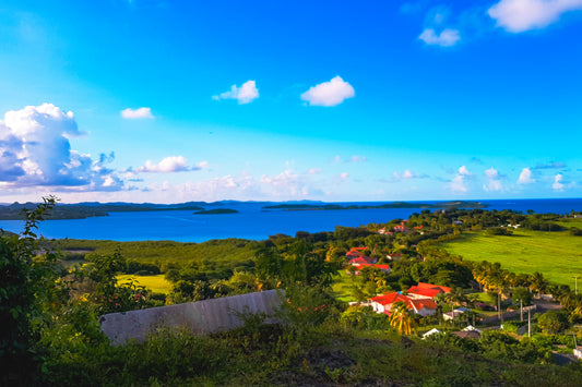 Paysage Côtier Panoramique Tropical