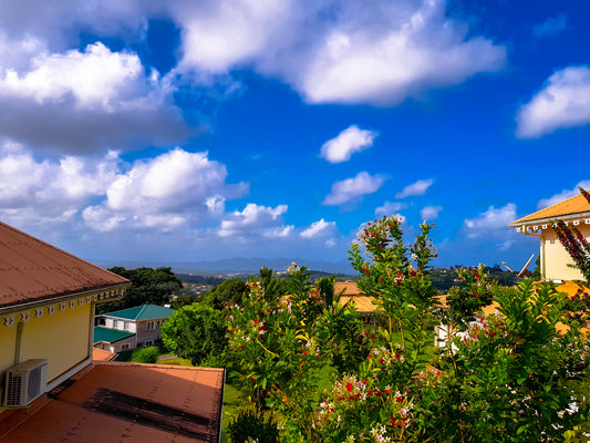Vue Panoramique sur des Toits de Maisons