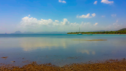 Plage Eau Turquoise Réflective et Voiliers