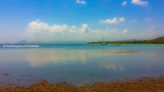 Plage Eau Turquoise Réflective