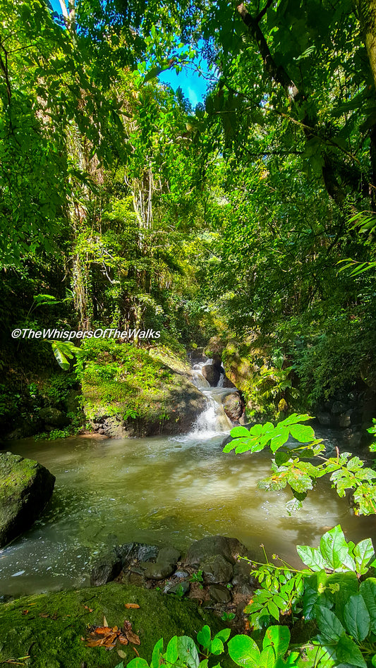 L'Éclat Caché du Ruisseau