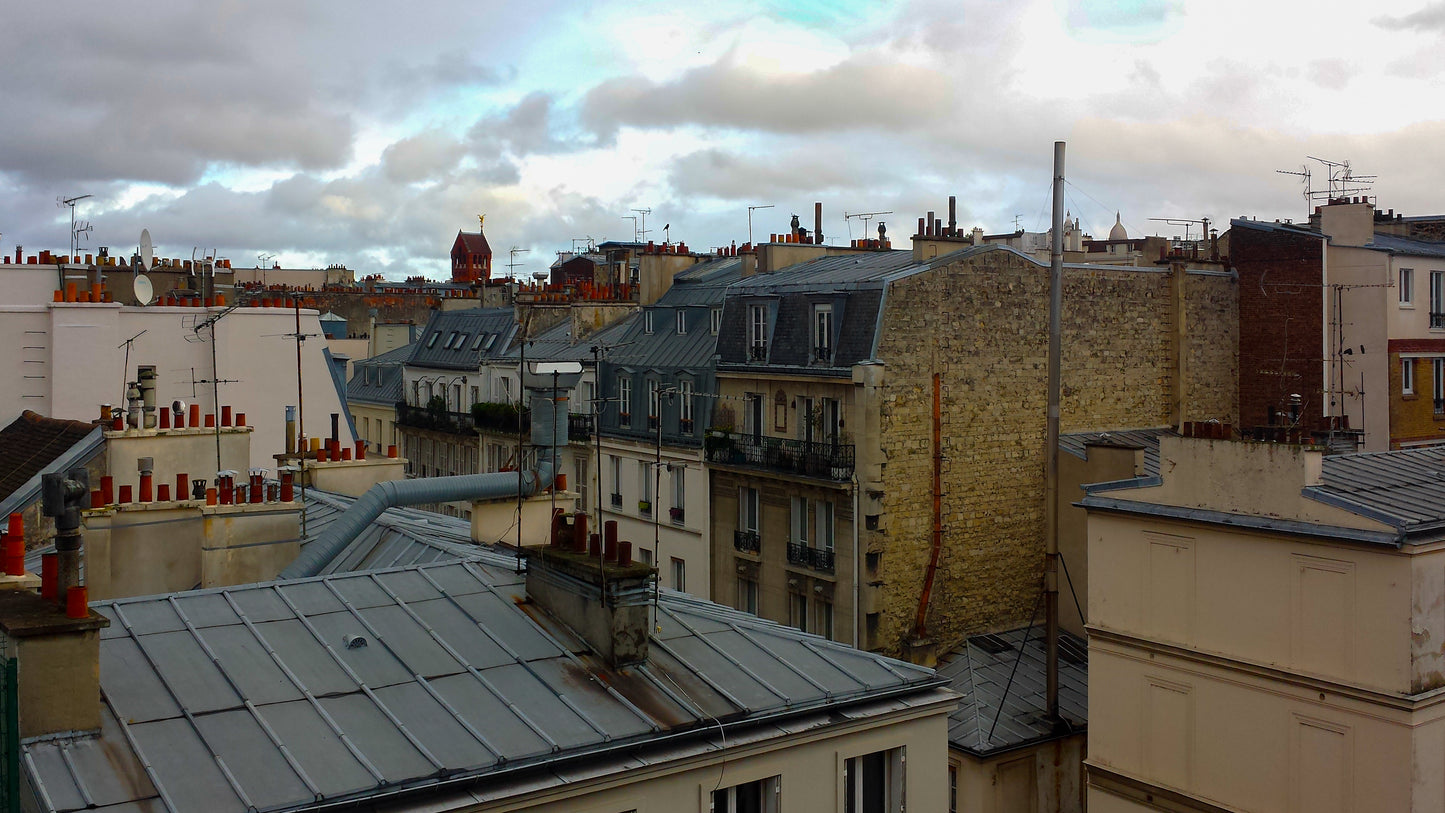 Vue Panoramique des Toits de Paris